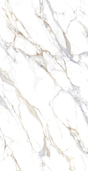 CONCORD 25X50 HYMETTUS WHITE